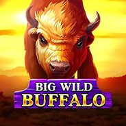 Big Wild Buffalo